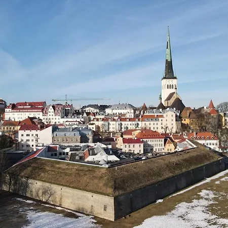 Cozy Two-story Loft 6 Apartament Tallin